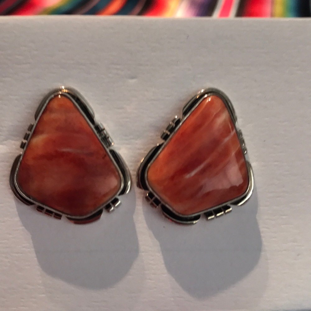 Native American signed earrings